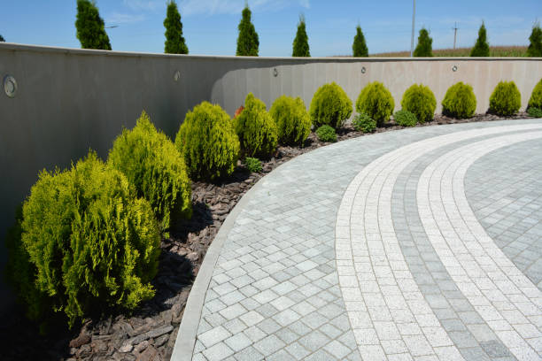 Best Driveway Pavers Near Me  in Shandon, CA